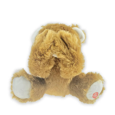 Gluur een Boo Educational Plush Toys Stuffed-Dier met Stem Registrerend 20cm 7.87in