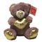 De super Zachte 0.25M 9.84in van het de Pluchespeelgoed van de Valentijnskaartendag Borst van Teddy Bear With Heart On