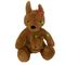 Baby Bruin Leuk Fuzzy Plush Kangaroo Toy 30 Cm met LEIDEN Lichten en Wiegeliedje