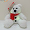 Kerstmis de LEIDENE Verlichtingspluche draagt met Santa Hat Kids Gift-van LEIDENE de Pluchestuk speelgoed Beerkinderen