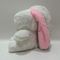 18cm 7&quot; Roze&amp; Wit Paasfeest Plush Toy Bunny Rabbit Gevulde Dier in Wortel