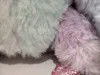 Recording & Repeating Tie Dye Sloth levendig gekleurde pluis speelgoed Sloth die kan praten