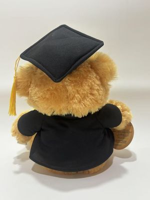 Afsluiting Beer Plush speelgoed knuffel pop Baby comfort pop