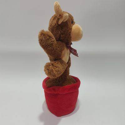 Zingen en dansen Highland koe