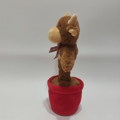 Zingen en dansen Highland koe