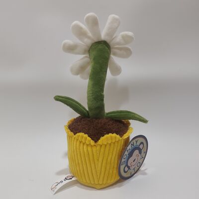 Opname en rollende Daisy pluche speelgoed