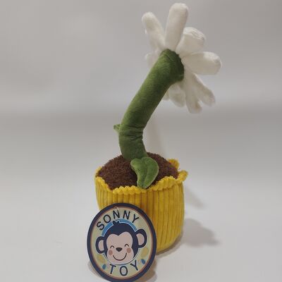 Opname en rollende Daisy pluche speelgoed