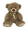 Onderwijsfunctie 11,8 Duim LEIDENE Pluche Toy Teddy Bear Stuffed Animal
