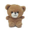 16CM het Registreren Pluche Toy Speaking Teddy Bear .3