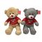 Teddy Bear Valentines Day Plush-Speelgoedoem