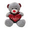 10.24in 26cm de Pluchespeelgoed Wit Teddy Bear Holding van de Valentijnskaartendag een Hart Hypoallergenic