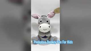 Kiekeboe Ezel